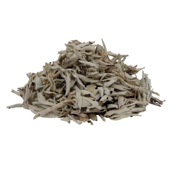 Buy Salvia Apiana White Sage Online